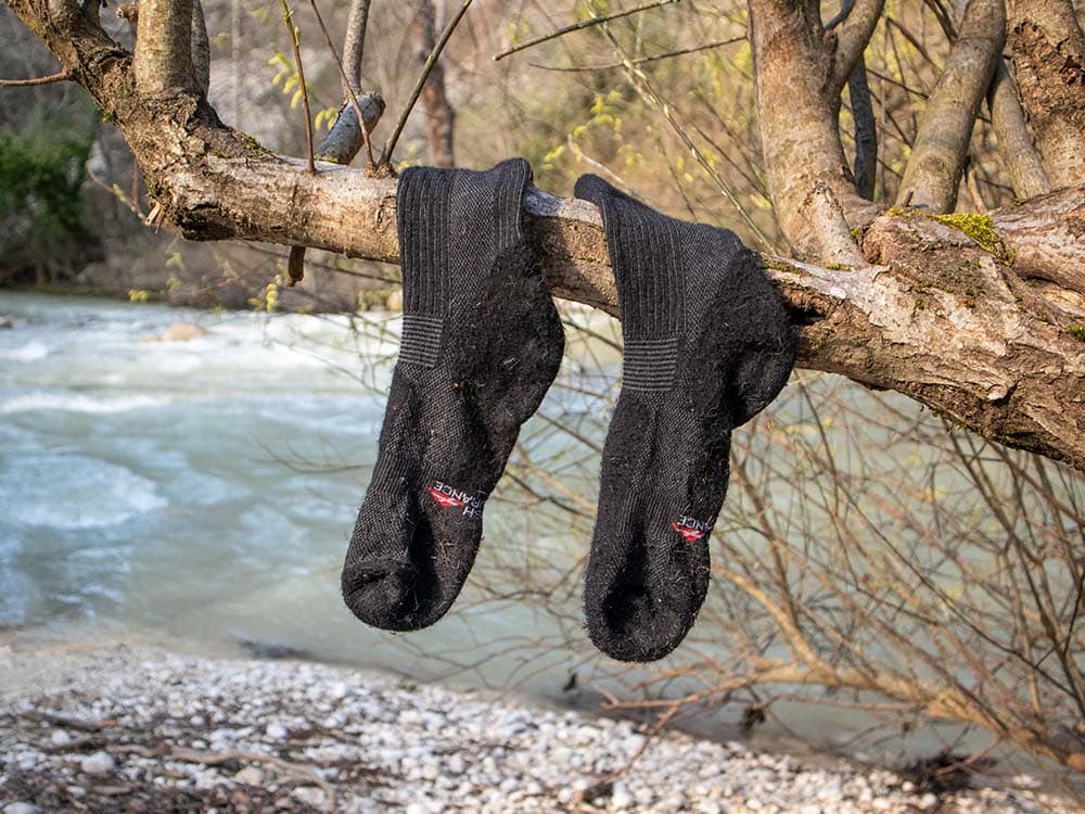 Drying hiking socks on a tree branch