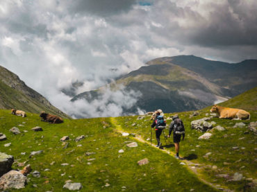 Why Do People Wear Cowbells When Hiking?