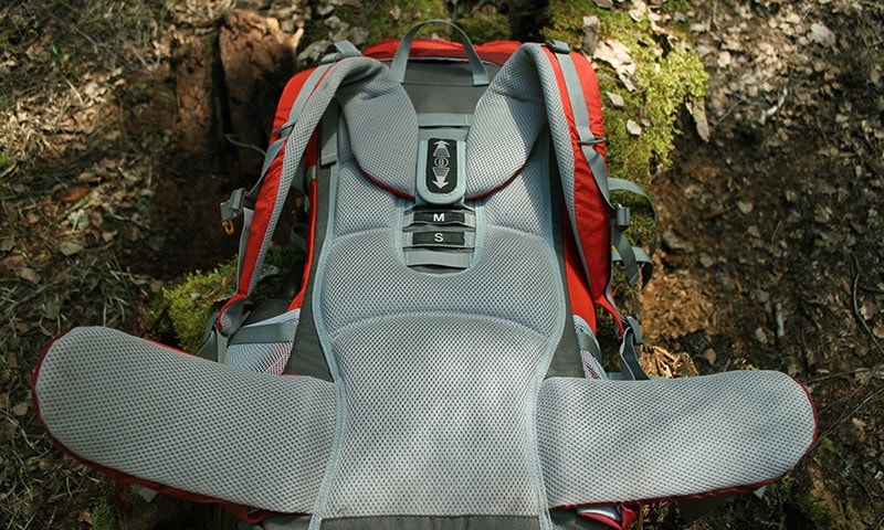 The back padding on the Mountaintop backpack